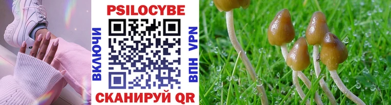 Псилоцибиновые грибы Psilocybine cubensis где продают ссылка на мегу ССЫЛКА Белово